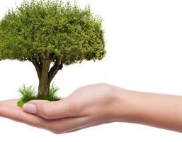 Bonus giardini, definito il perimetro di applicazione