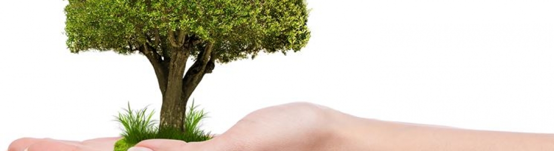 Bonus giardini, definito il perimetro di applicazione Bonus giardini, definito il perimetro di applicazione